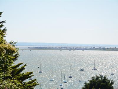 Picture 14